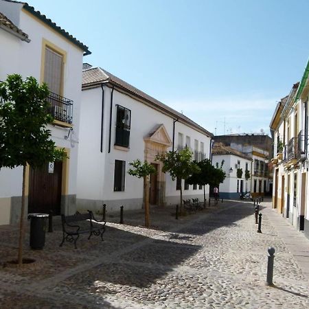 Apartamentos Los Patios De San Agustin Cordoba Dış mekan fotoğraf