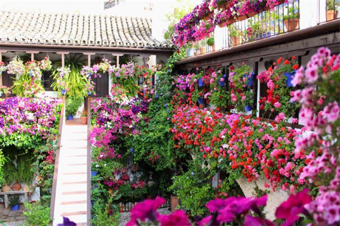 Apartamentos Los Patios De San Agustin Cordoba Dış mekan fotoğraf