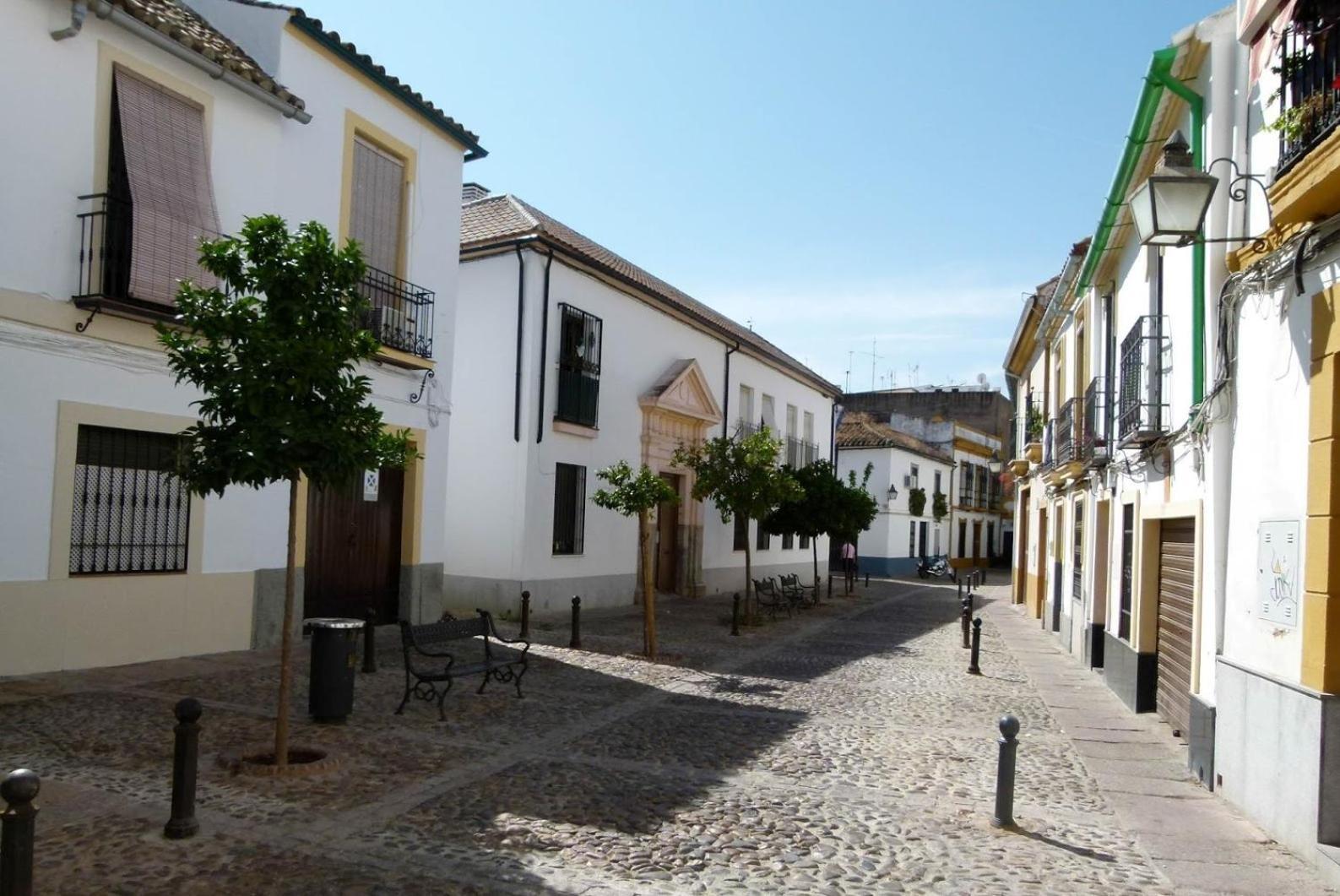 Apartamentos Los Patios De San Agustin Cordoba Dış mekan fotoğraf